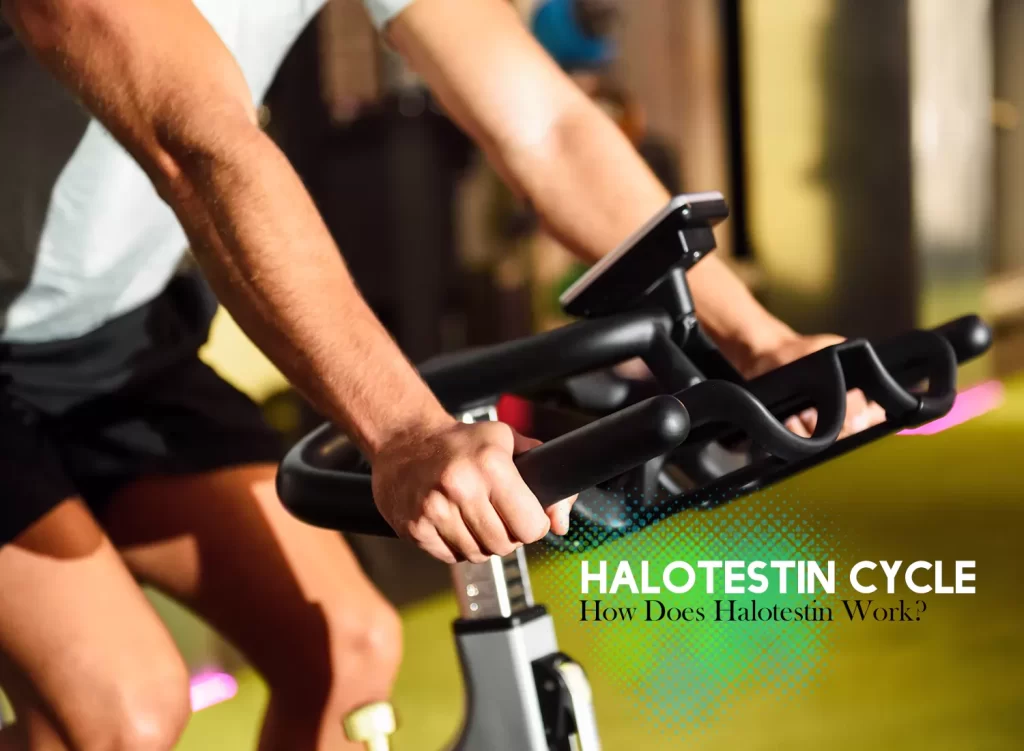 How does Halotestin work