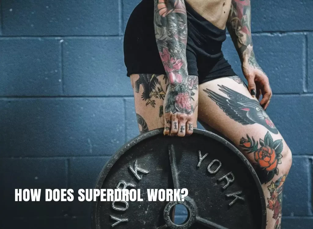 How does Superdrol work