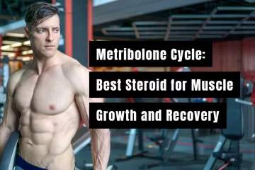Metribolone Cycle